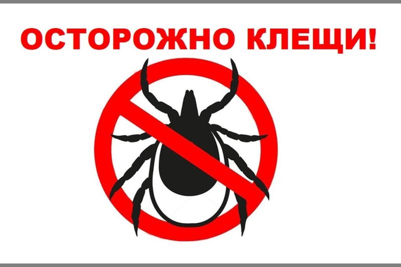 осторожно клещи