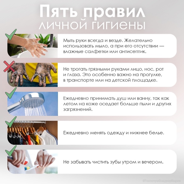 Правила личной гигиены
